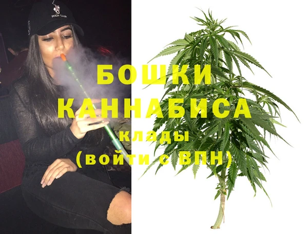 гашик Арсеньев