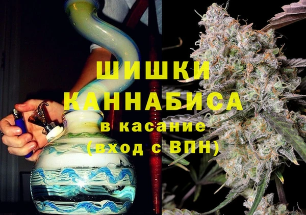 гашик Арсеньев
