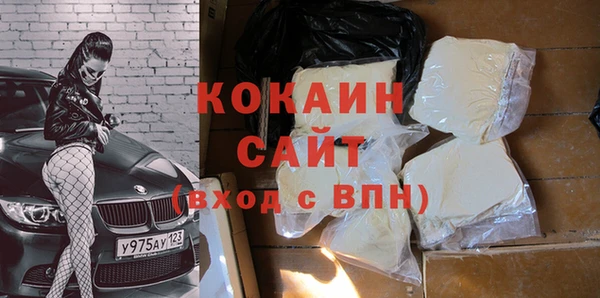 гашик Арсеньев