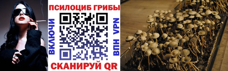 Купить где  Иркутск  Галлюциногенные грибы GOLDEN TEACHER 