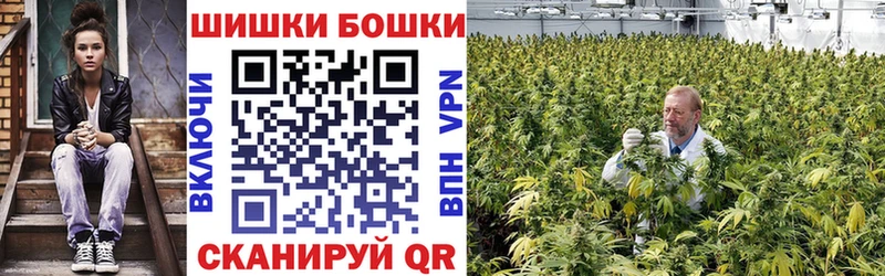 Купить где  Иркутск  МАРИХУАНА ГИДРОПОН 